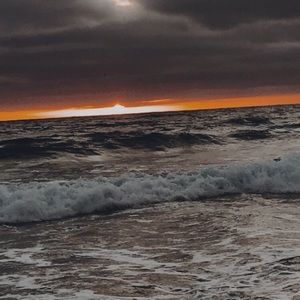 Meet your Posher, Lucy